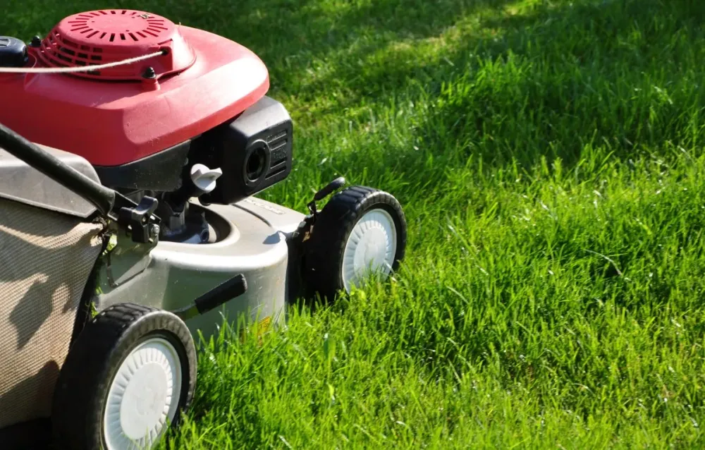 Entretien tondeuse à Louvigné